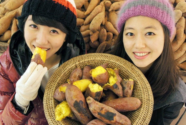 변조방지표시= Daun Cafe: 한국 네티즌본부← 작성 Netizen Photo News.