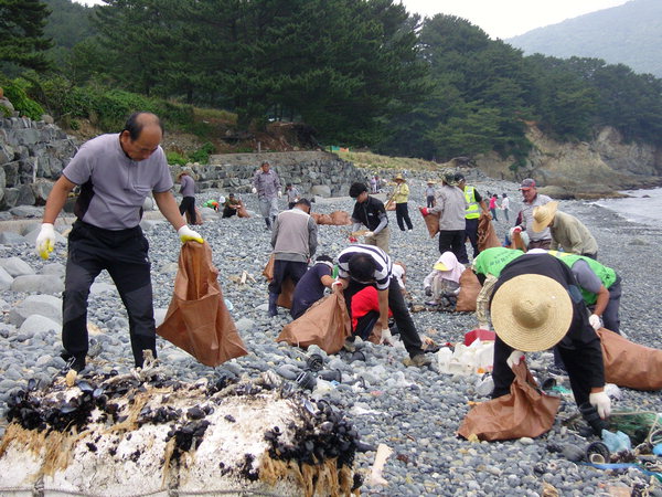 만든곳: 한국 네티즌본부 카페