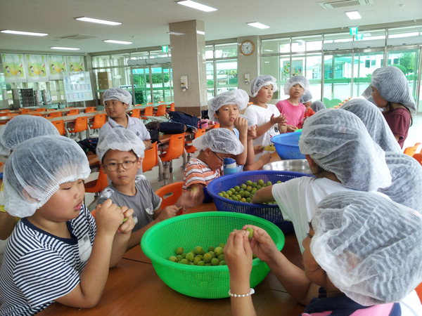 만든곳: 한국 네티즌본부 카페