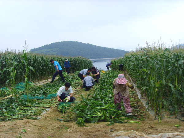 만든곳: 한국 네티즌본부 카페