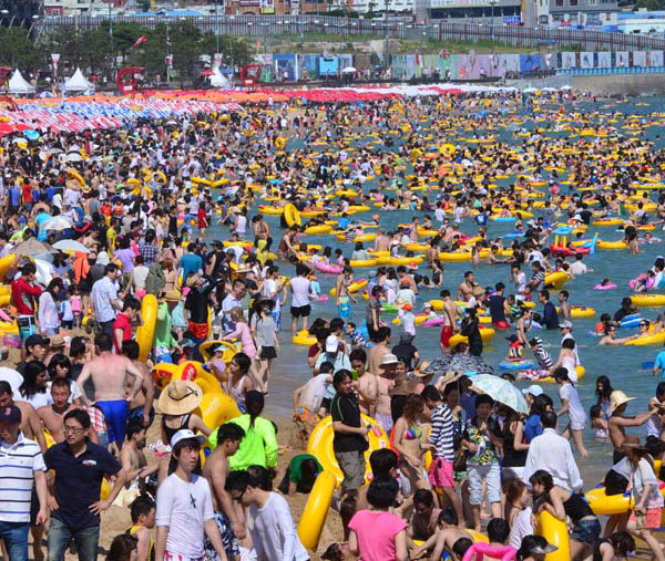 만든곳: 한국 네티즌본부 카페