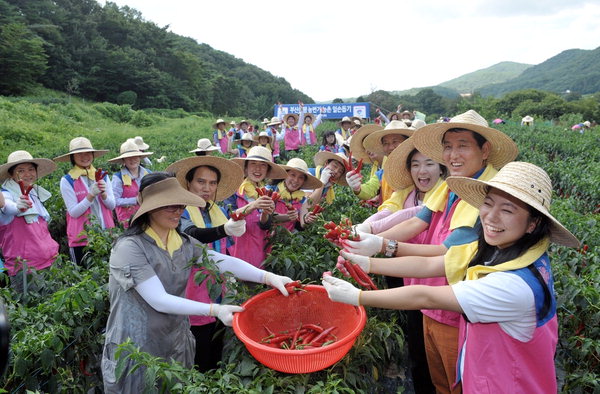 만든곳: 한국 네티즌본부 카페