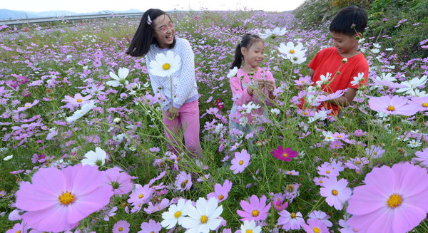 작성: 한국 네티즌본부