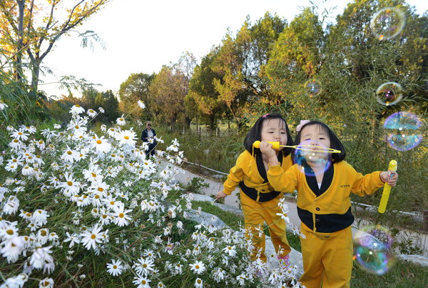 작성: 한국 네티즌본부
