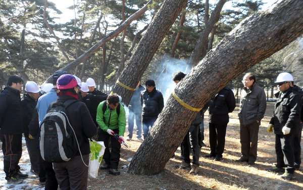 작성: 한국 네티즌본부