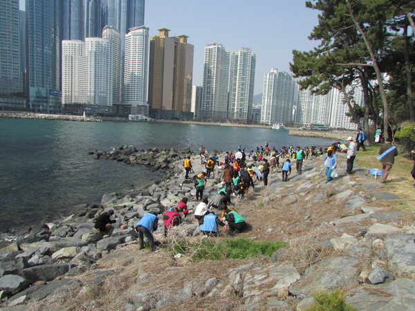 작성: 한국 네티즌본부