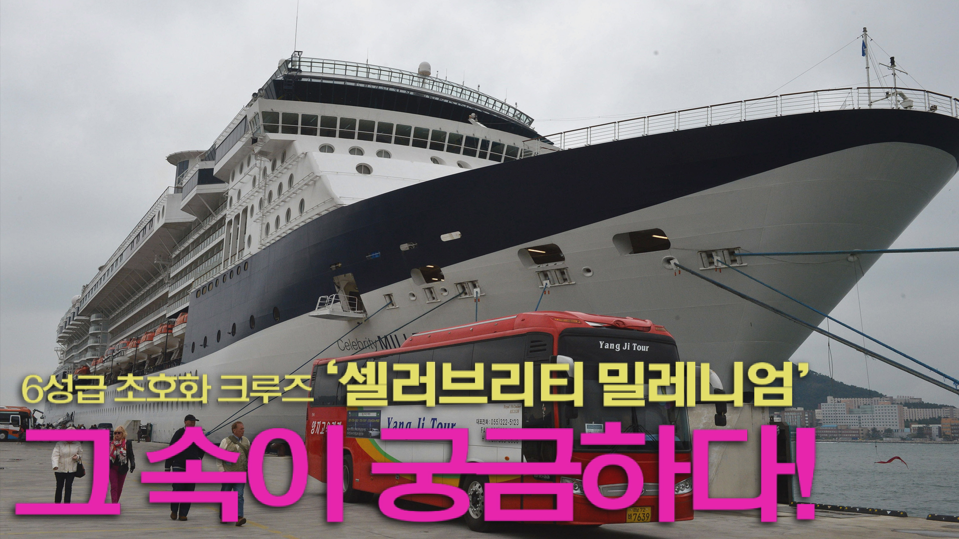 만든곳: 한국 네티즌본부 카페