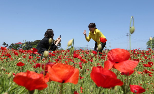 �ۼ�: �ѱ� ��Ƽ�𺻺�