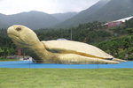 세계에서 제일 큰 황금거북