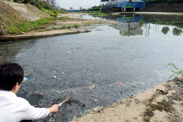 만든곳: 한국 네티즌본부 카페