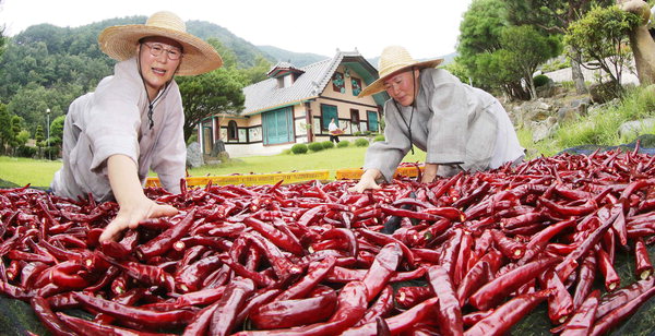 만든곳: 한국 네티즌본부 카페