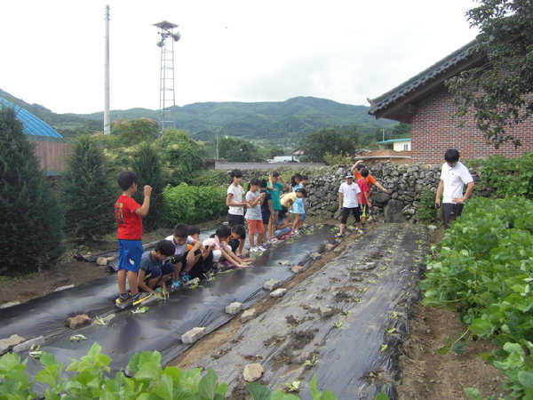 만든곳: 한국 네티즌본부 카페