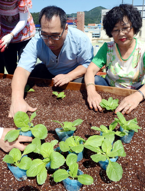 만든곳: 한국 네티즌본부 카페