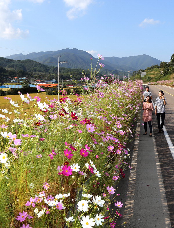 만든곳: 한국 네티즌본부 카페