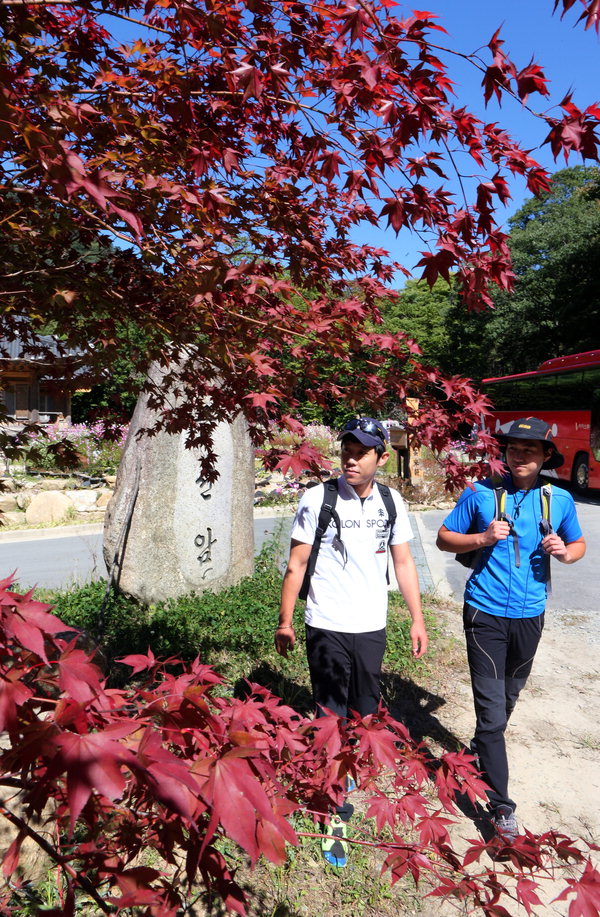 만든곳: 한국 네티즌본부 카페