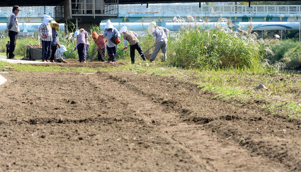 만든곳: 한국 네티즌본부 카페