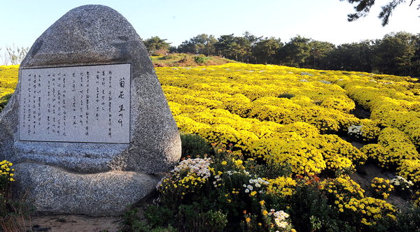 만든곳: 한국 네티즌본부 카페