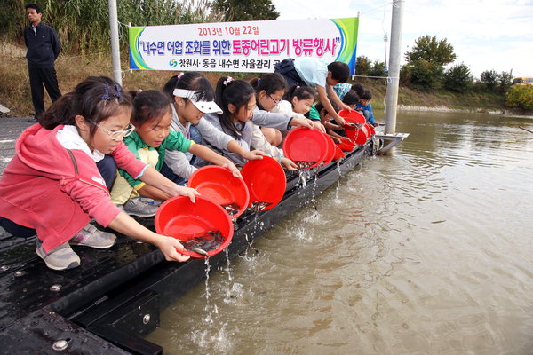 만든곳: 한국 네티즌본부 카페