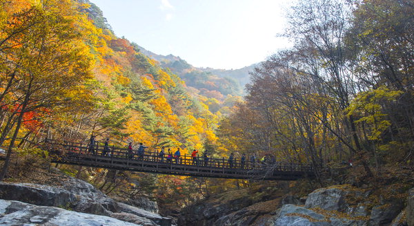 만든곳: 한국 네티즌본부 카페