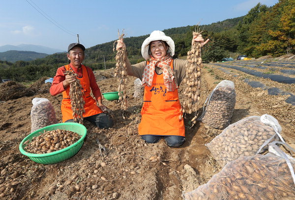 만든곳: 한국 네티즌본부 카페