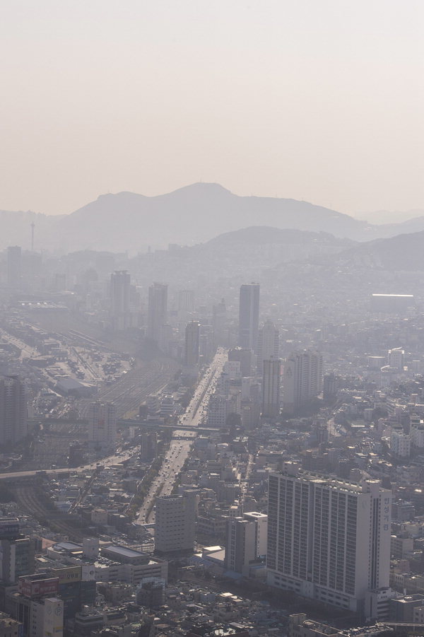 만든곳: 한국 네티즌본부 카페