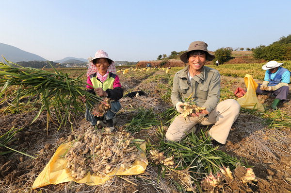 만든곳: 한국 네티즌본부 카페