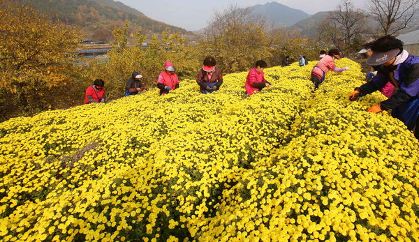 만든곳: 한국 네티즌본부 카페