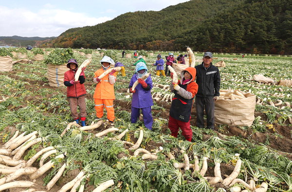 만든곳: 한국 네티즌본부 카페