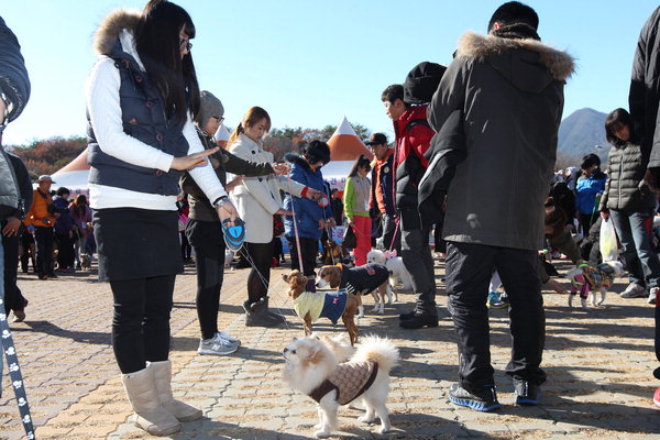 만든곳: 한국 네티즌본부 카페