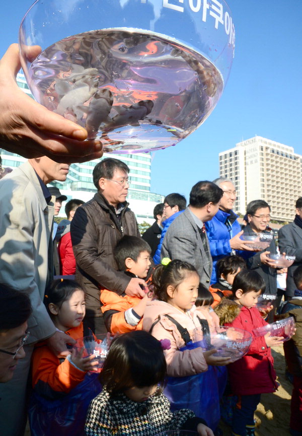 사진이 안 나오면→ 우칙클릭→ 사진보기클릭: 작성: '한국 네티즌본부' 카페