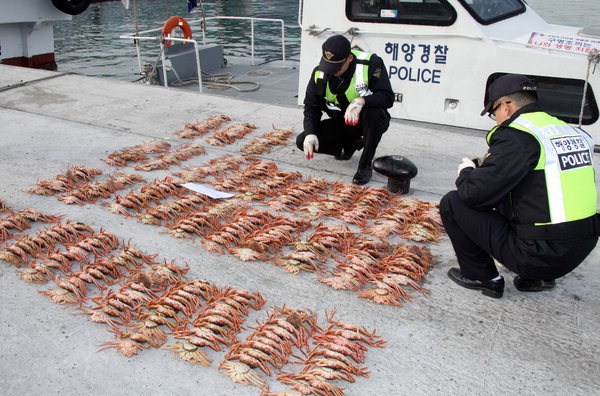 사진이 안 나올때,→ 우칙클릭→ 사진보기클릭: 작성: '한국 네티즌본부' 카페