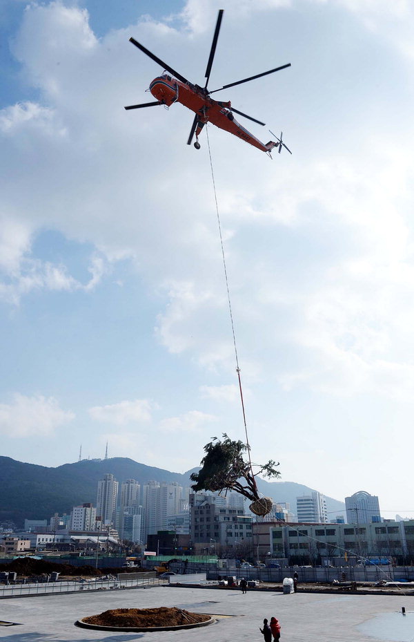 사진이 안보일 때→우측클릭→'사진보기' 클릭, OK. ☞작성: Daum카페: 한국 네티즌본부