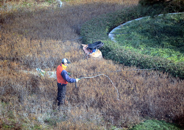 사진이 안보일 때→우측클릭→'사진보기' 클릭, OK. ☞작성: Daum카페: 한국 네티즌본부