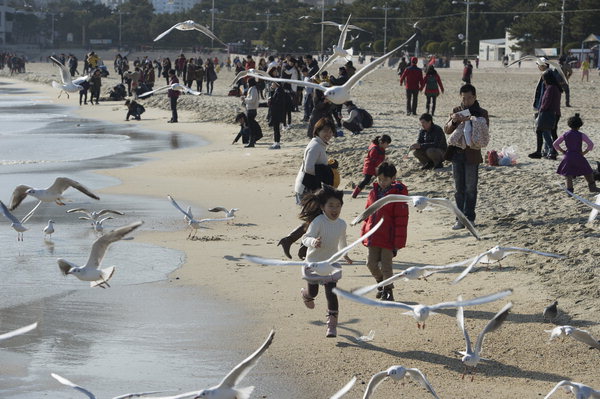 사진이 안보일 때→우측클릭→'사진보기' 클릭, OK. ☞작성: Daum카페: 한국 네티즌본부