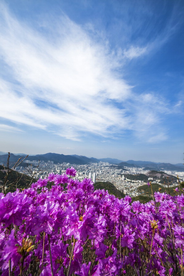 사진이 안보일 때→우측클릭→'사진보기' 클릭, OK. ☞작성: Daum카페: 한국 네티즌본부