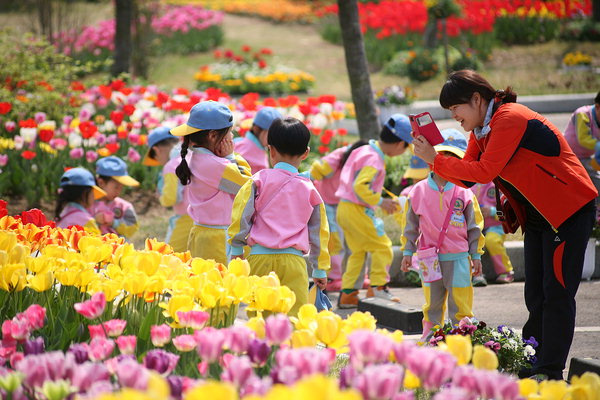 사진이 안보일 때→우측클릭→'사진보기' 클릭, OK. ☞작성: Daum카페: 한국 네티즌본부