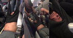 "미국 항공기서 끌려나간 승객은 화교" 중국 누리꾼 분노
