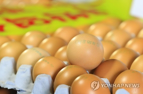 식용금지달걀 전국 45개 농장 살충제 계란 유통난각코드 공개 부산의 대표 정론지 국제신문
