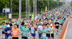 2019 부산하프마라톤대회