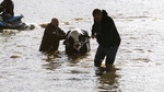[포토뉴스] 캐나다 대홍수…‘나도 구해주소’