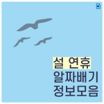 [카드뉴스] 설 연휴 알짜배기 정보모음
