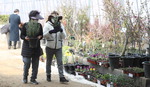 [포토뉴스] 묘목시장에 찾아온 봄