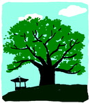 [도청도설] 창원의 보석 팽나무