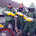 수산강국으로 가는 길 <4> 어업경영 악화시키는 규제 줄여야