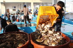 수산강국으로 가는 길 <8> 중국만 이롭게 하는 어업 규제