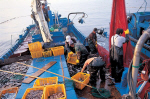 해수부, 국적 선원 감소 막기 위한 대책 마련 나선다