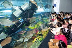 ‘물멍’ 수족관…국립해양박물관의 변신