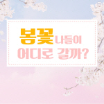 [카드뉴스]부산 봄꽃 나들이 어디로 갈까?