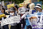 “오염수 방류 철회하라” 반원전 운동가 도쿄서 시위