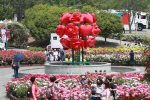 울산대공원 장미축제 24일 개막
